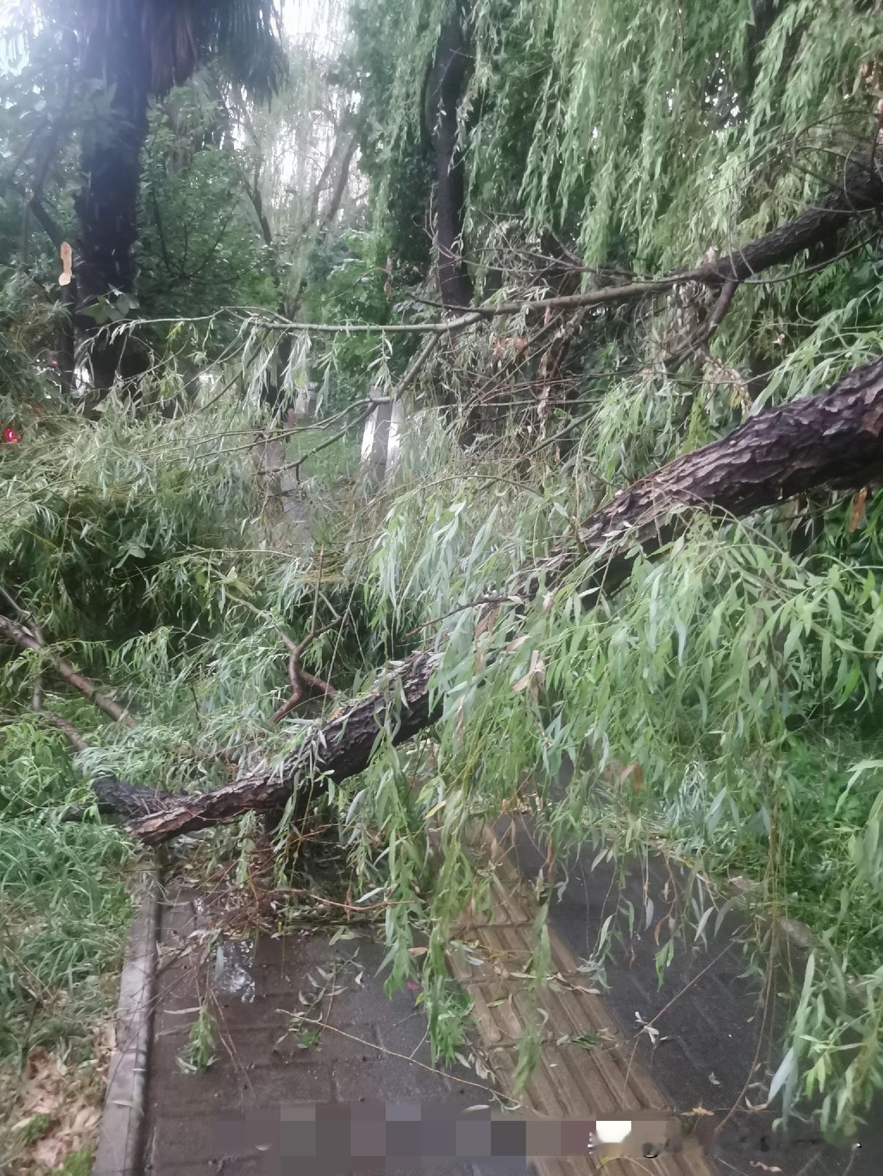 西安昨天一场大雨，今天在网上看到了满目狼藉，有网友说，也是体会到了水深火热，还挺