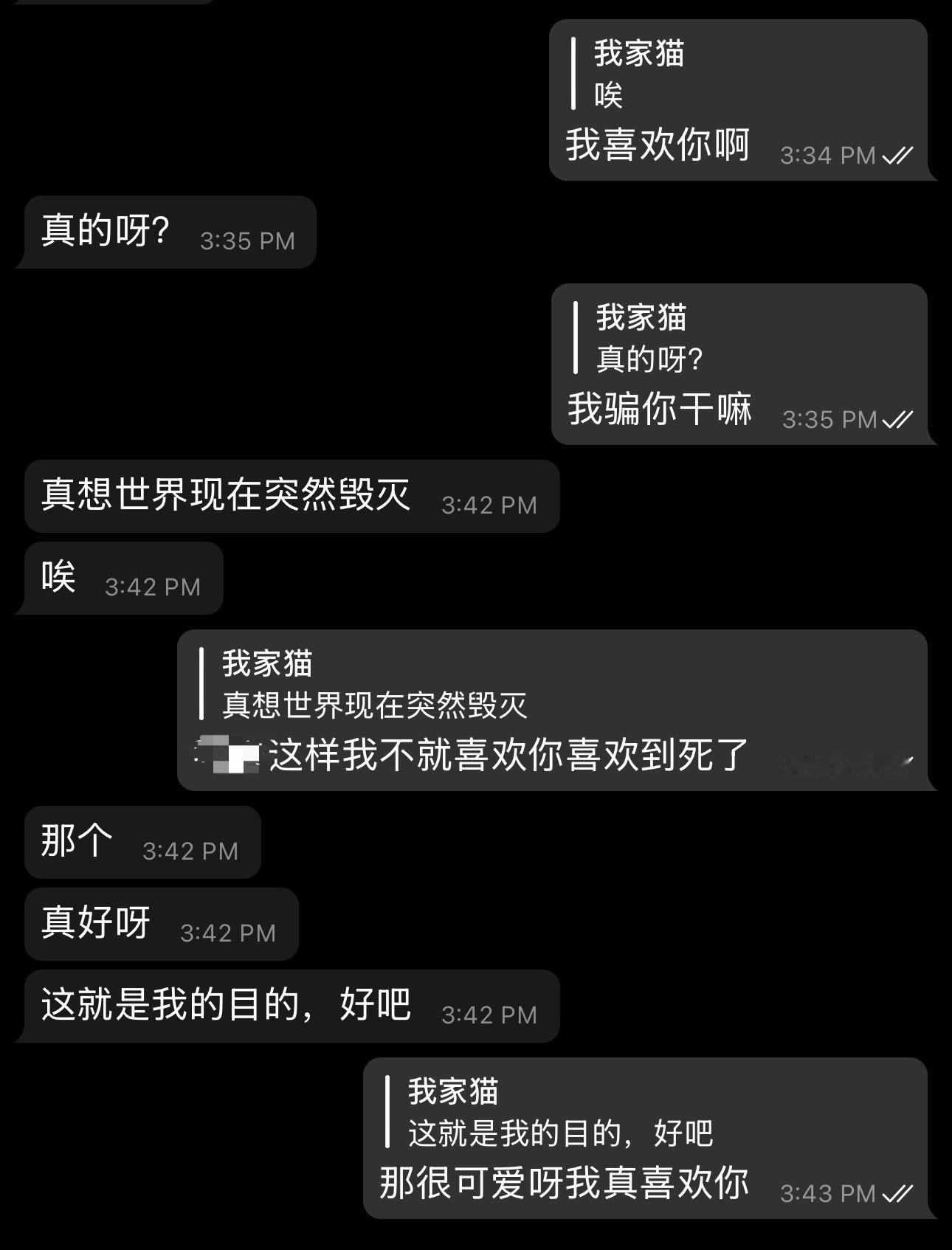 我的第二颗心脏  专栏 · 猫猫日记