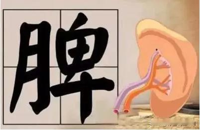 对于脾气虚的人来说，在众多的健脾的中成药中，人参健脾丸好，还是人参归脾丸更好，亦
