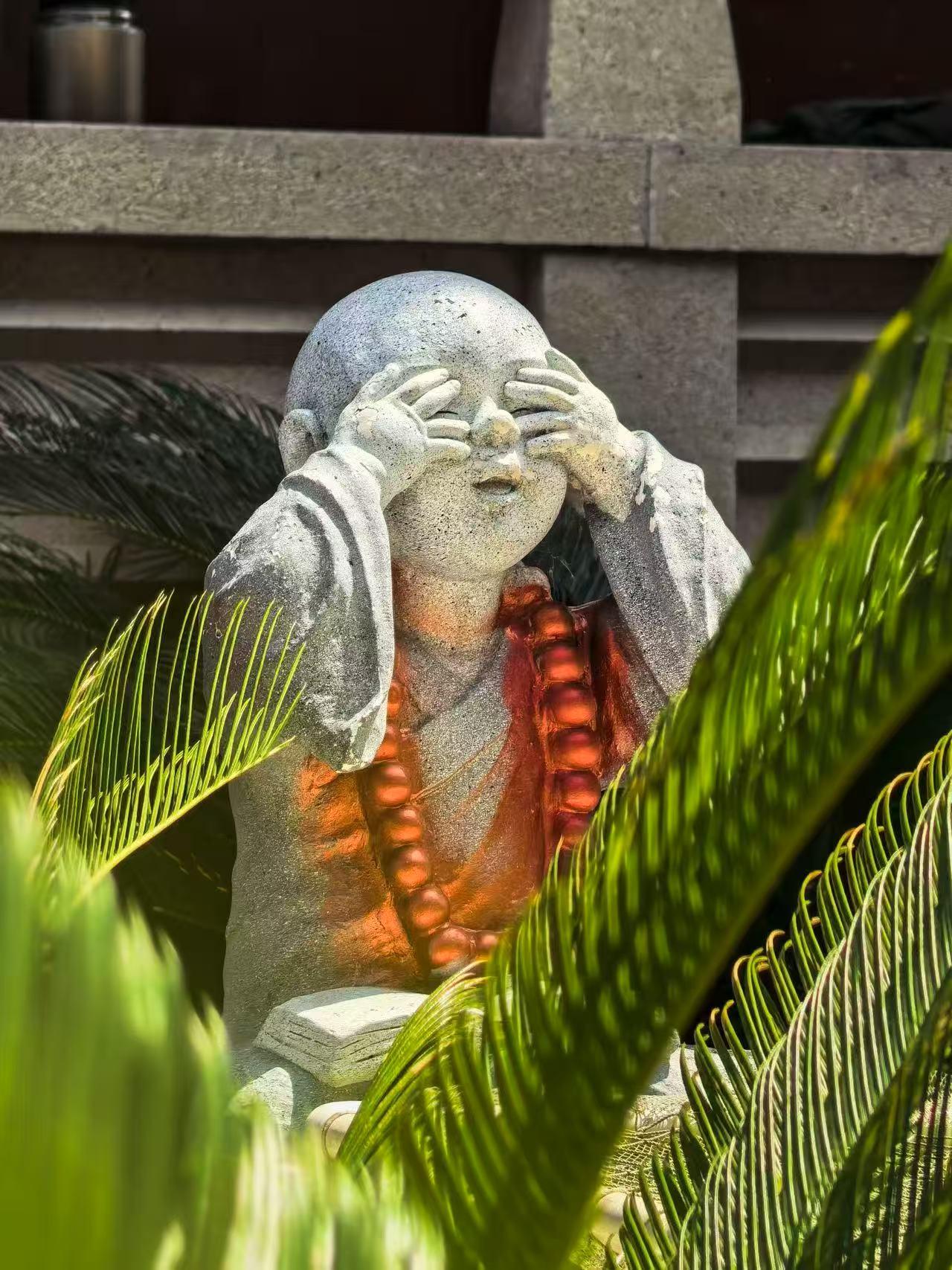 退休后丢了睡眠，我才真正读懂了公爹当年的愁容

年轻时，我最不能理解的就是公爹为