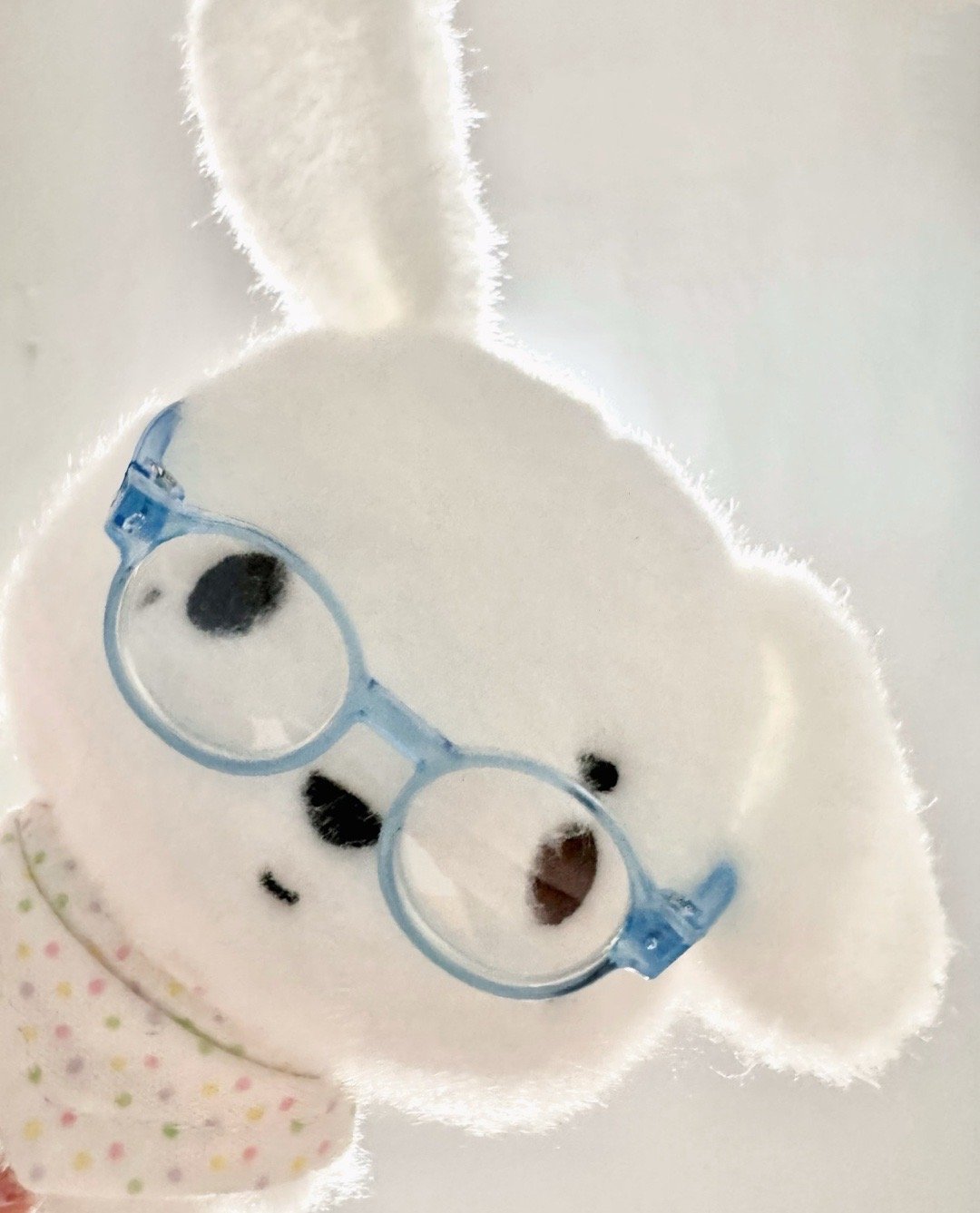 饼狗真的太萌了 🧱➕🍎抽一个兔毛宝宝报销 到时候直接填你地址 抽一个饼狗顺便