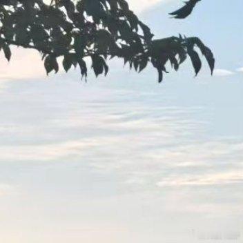 阳光信用 ⽉静好，初⼼最美，⼼若向阳，幸福花开，⼀路相伴⼀路温暖，愿你开⼼快乐每