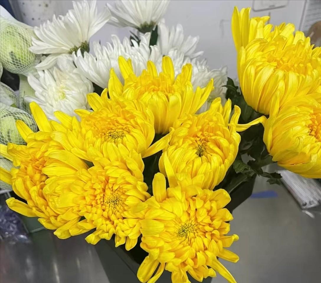 说出来你可能不信，清明真不是纪念介子推的！

先跟大家掰扯清楚，清明和寒食是俩事