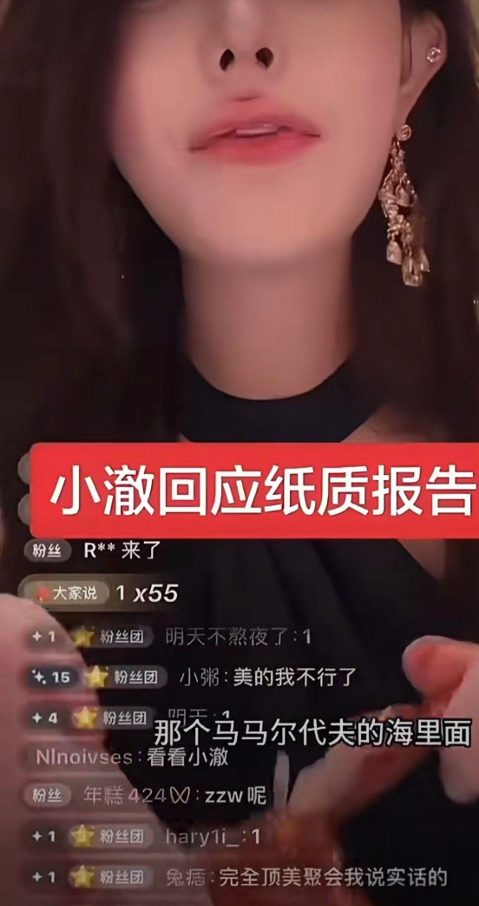 小澈说纸质报告在马尔代夫海里疑似模仿迅猛龙失败？拖延半年的纸质报告，终于有了“去