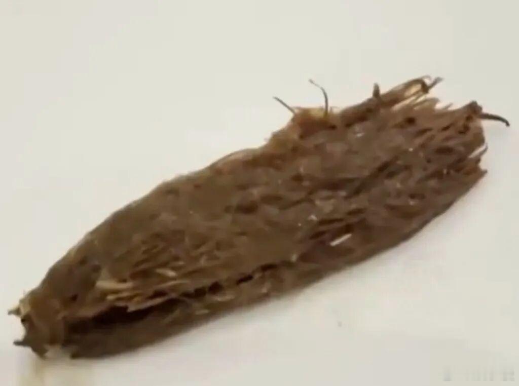 曝广州一知名酒楼吃出嚼过的槟榔广州知名酒楼菜里惊现嚼过的槟榔，顾客入口才察觉，当