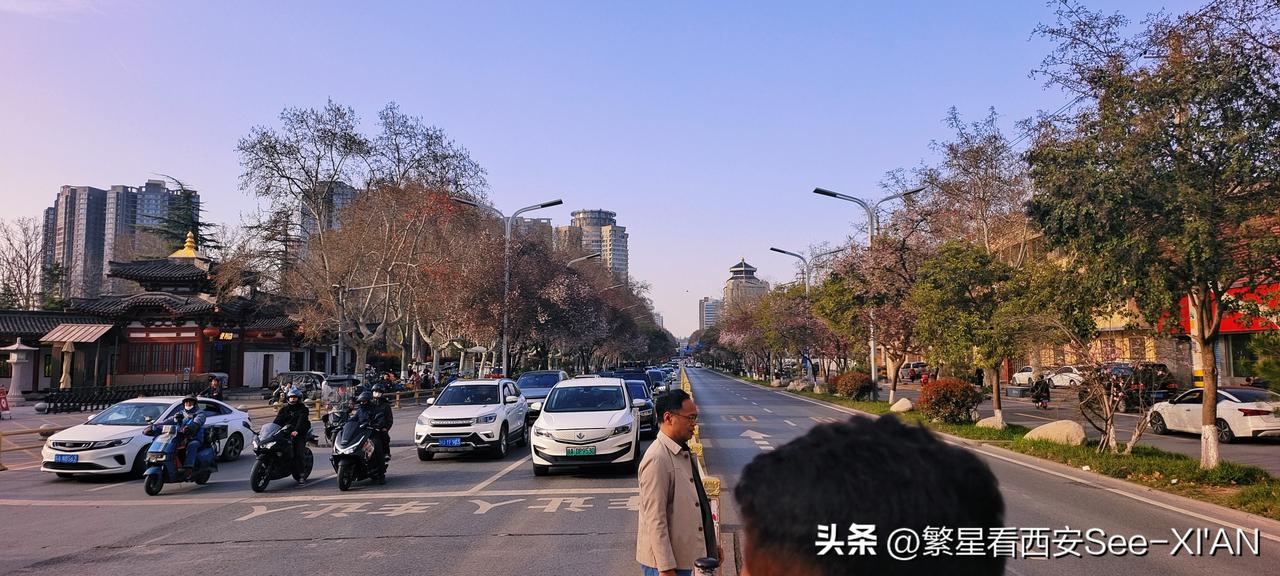 春分恰逢龙抬头，随着气温回暖，西安多处已是繁花盛开。在多条街道，人们闻着花香出门