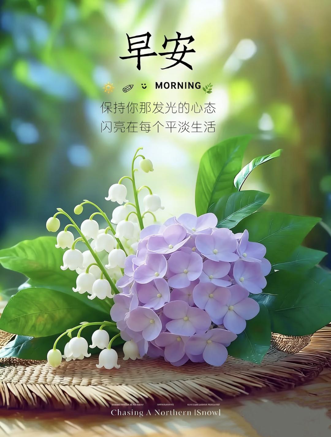 “央视封神文案，一句可以支撑你很久的话”
1、💐如果没有天赋，那就一直重复。所