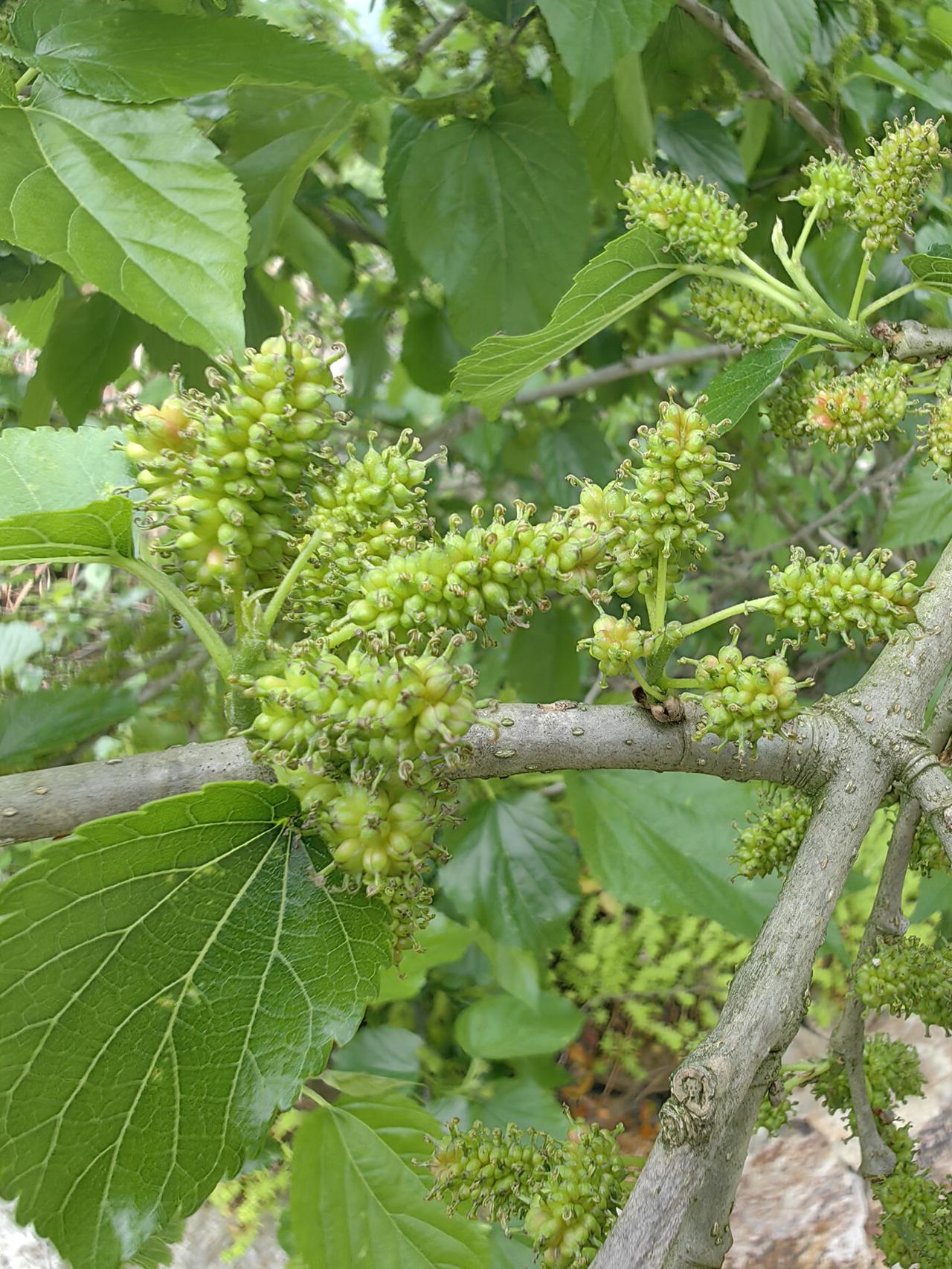 今天A股走势的幻想
专家们有一种心理预感，今天A股会震荡上行，重回4000点。具