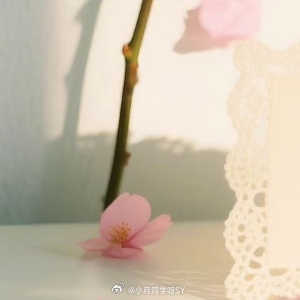 人生感悟 人生如茶，总有浮沉。不必急于品尝，先看叶片舒展，静待香气弥漫。苦时是历