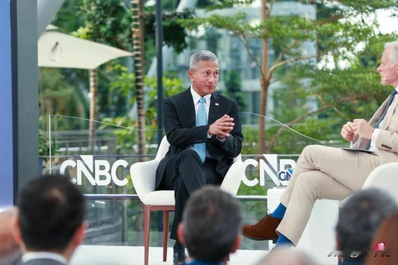 联合早报今天发文说：“新加坡外交部长维文说，假如中国和美国关系破裂，甚至在太平洋