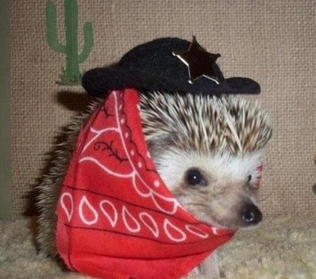 哇 
