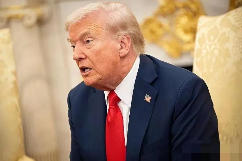 2026年2月24日，全球运输巨头联邦快递正式起诉美国政府，要求全额退还特朗普政