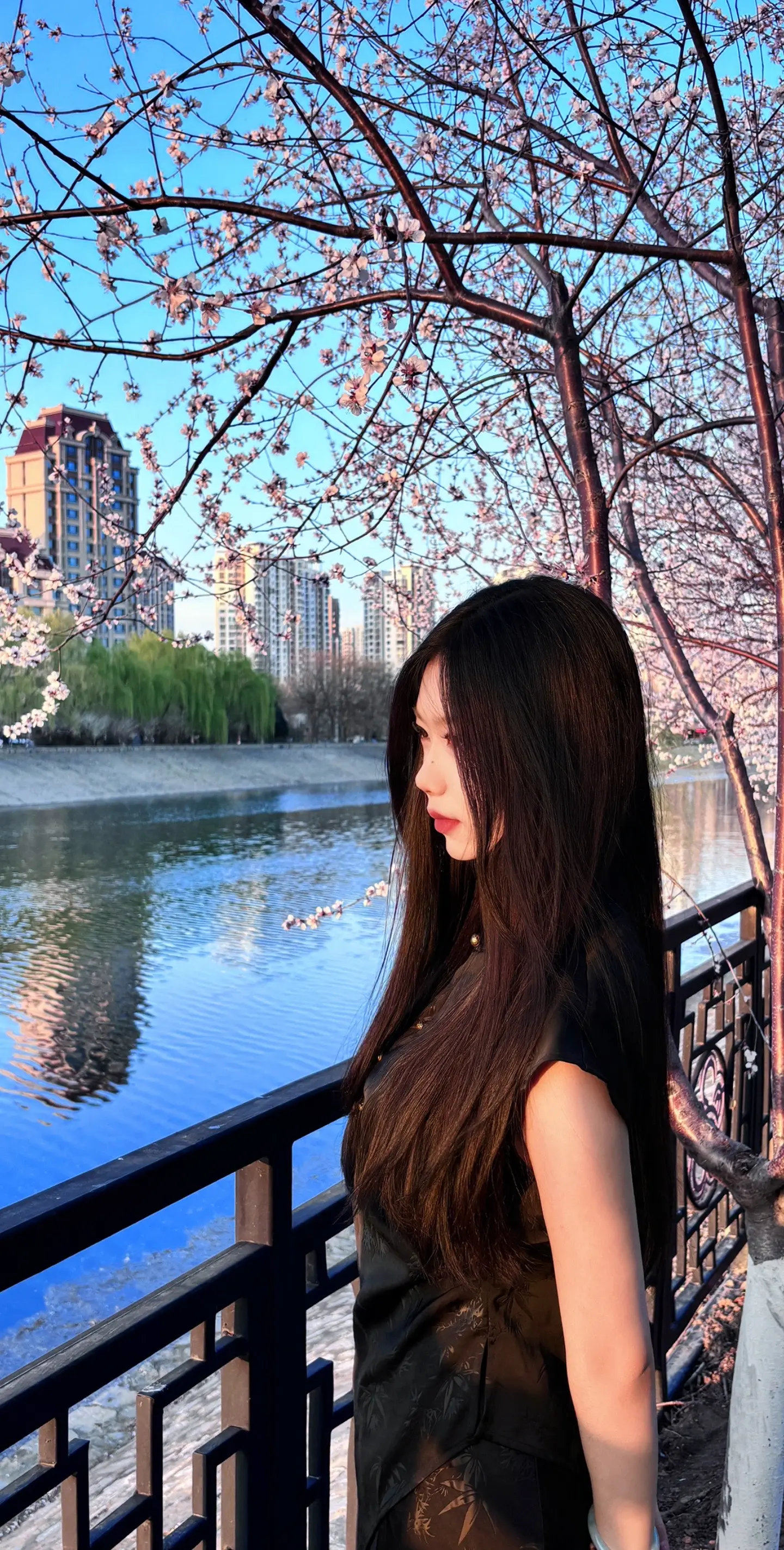 正是春来时