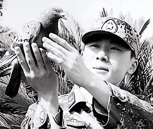 罗布泊一次核试验中，我国放飞50只军鸽，结果只回来45只。科研人员不知道的是，没