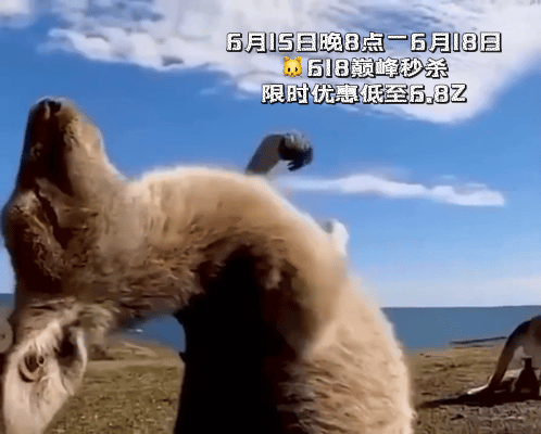天猫618巅峰秒杀今晚8点天猫618巅峰价6.8折起上淘宝用国补买家电数码 年度