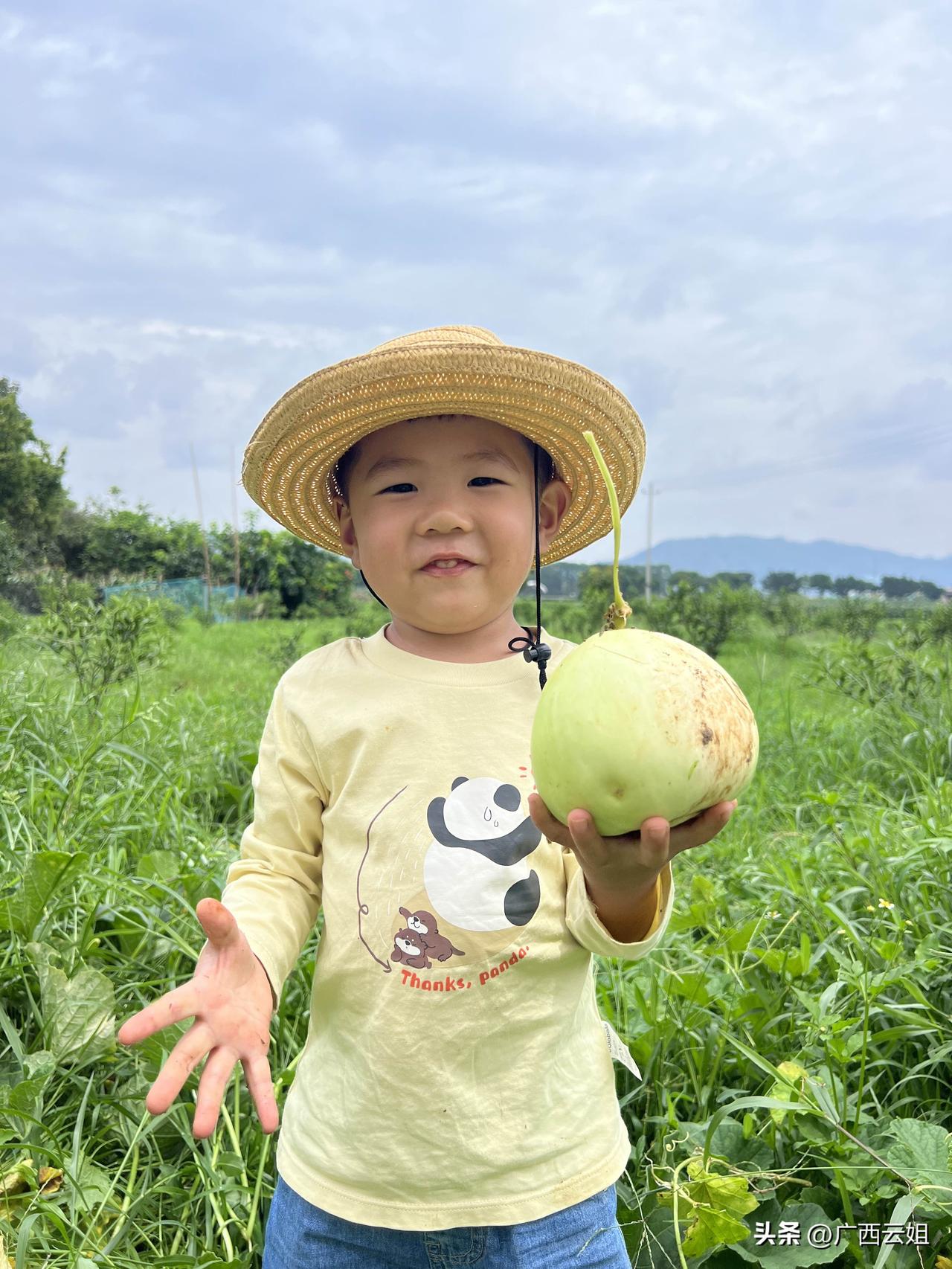 孩子跌倒了，别慌。先安抚，像抱抱他、轻声安慰，让孩子情绪稳定。然后检查伤口，看有