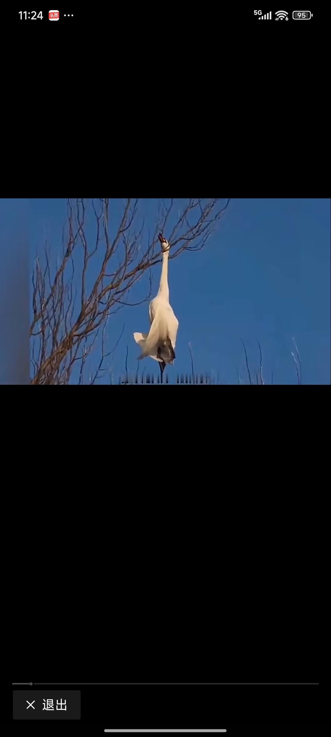 围困台湾——打的谁的脸

东风的发射塔已经竖起
百艘军舰已经围困
雷达照射着那个