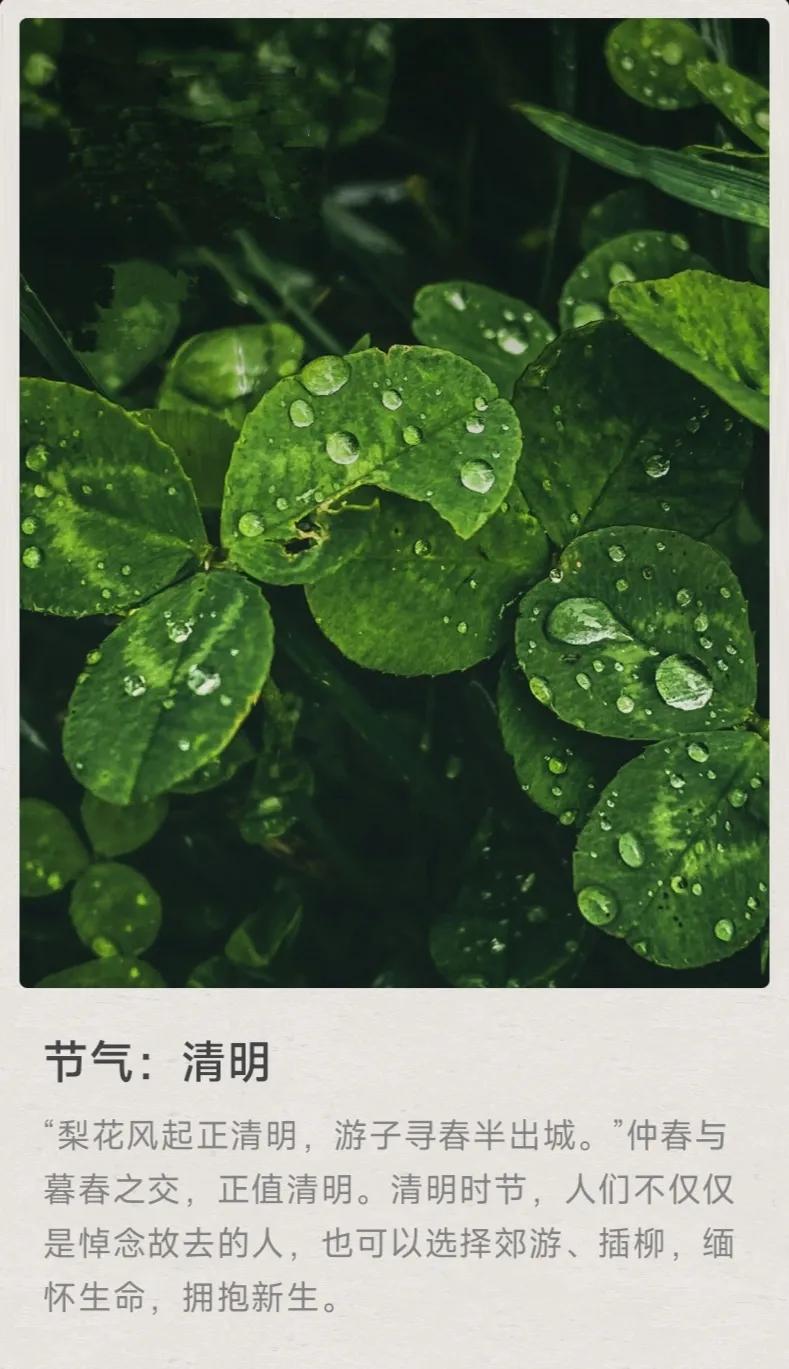 节气 清明 万能生活指南