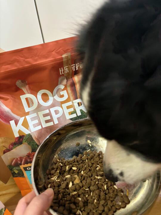 小狗也需要清清火！