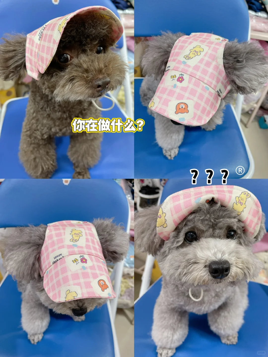 那些天，我做失败的狗帽子…