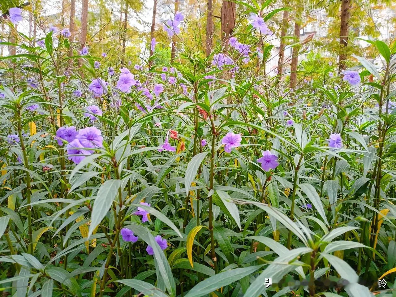 经历过你才明白:你若是个人物，到哪都有人前呼后拥;你若是个废物，到哪都有人横眉冷