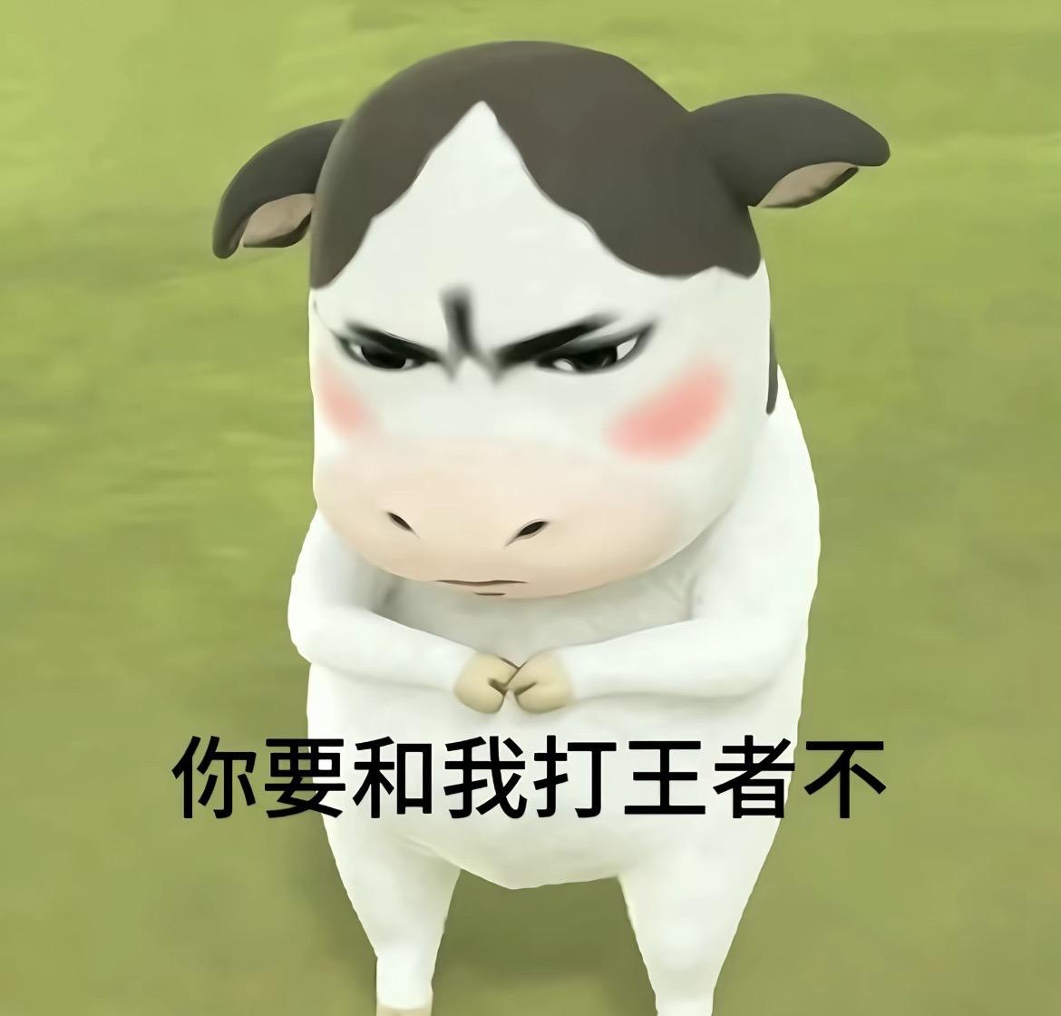 你要和我打王者不●ｖ●