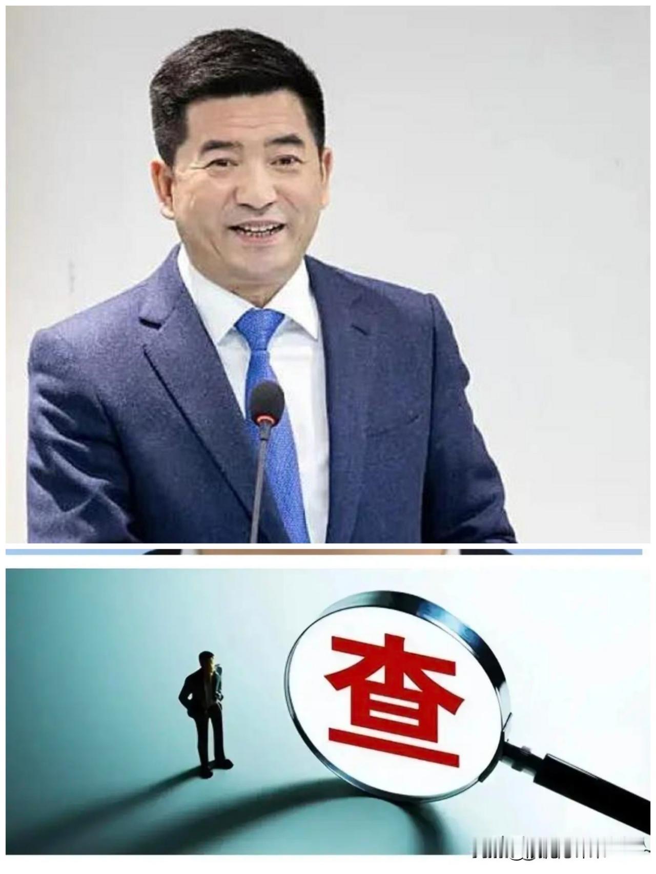 ……不光是胆子大，典型的不知足，没有法律法纪意识，就在刚刚，张亚东（绿城中国原董