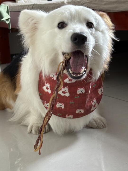 好吃爱吃一直吃
