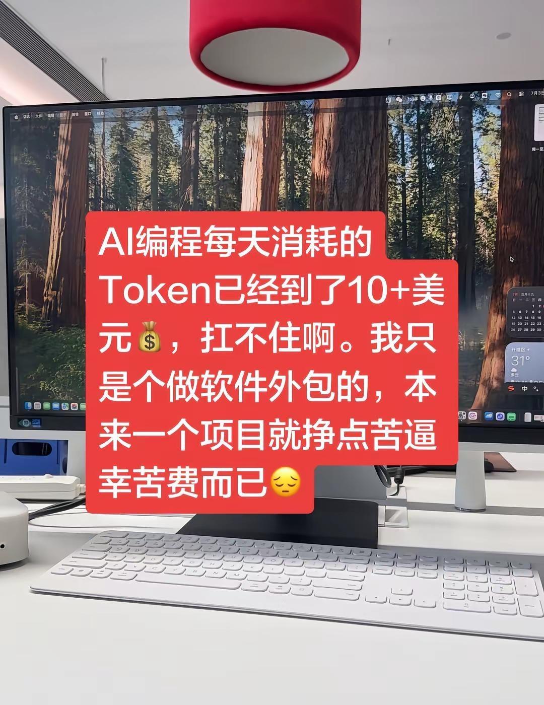 AI编程每天消耗的Token已经到了10+美元💰，扛不住啊。我只是个做软件外包
