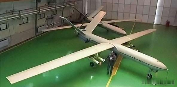 用隐形战机大炮打蚊子，你相信吗？
美军一架隐形战斗机在阿拉伯海击落一架试图靠近林