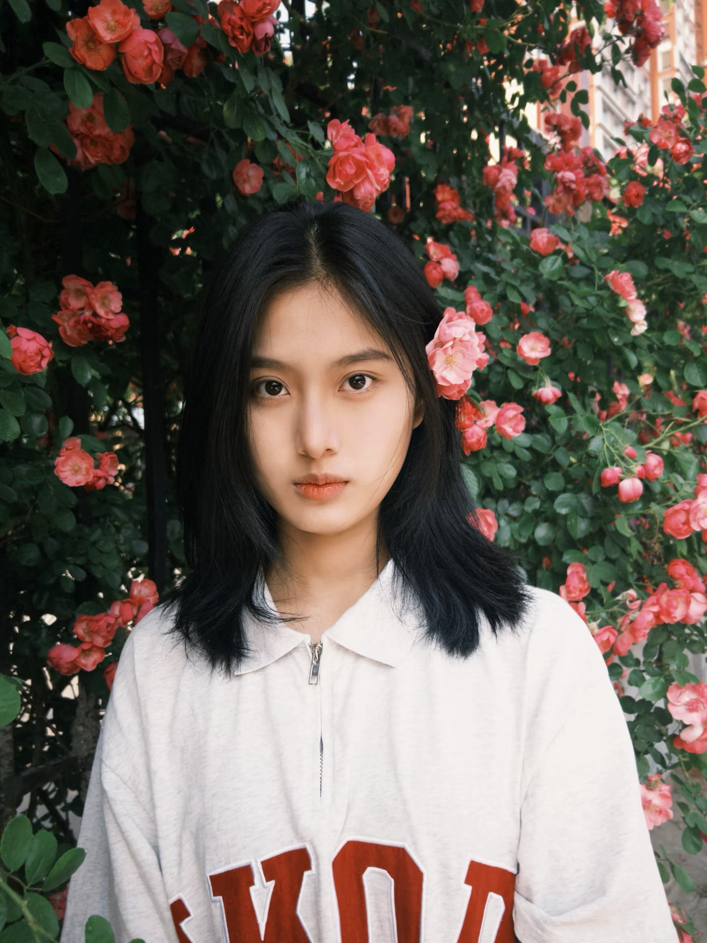 胶片下的蔷薇花🎞️