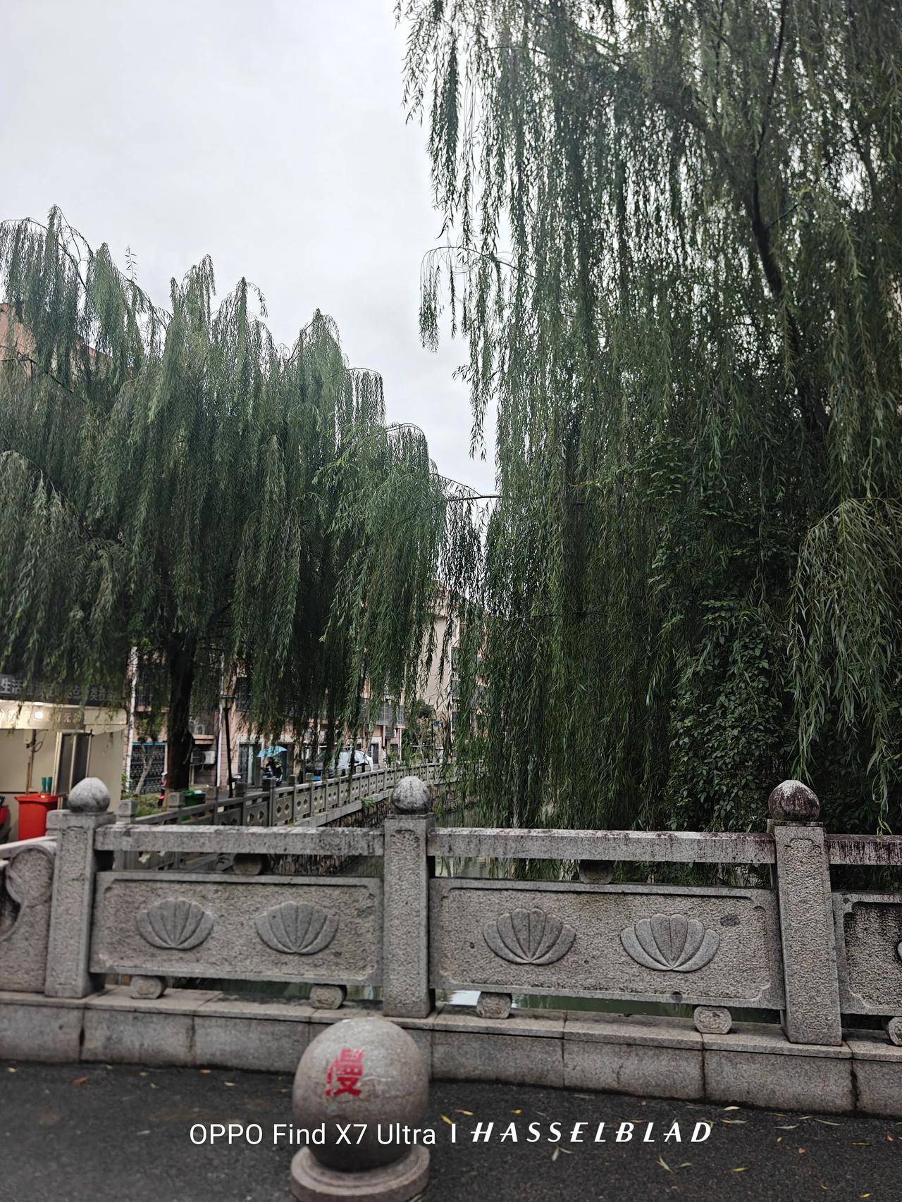 微雨，清凉。草木茂盛。