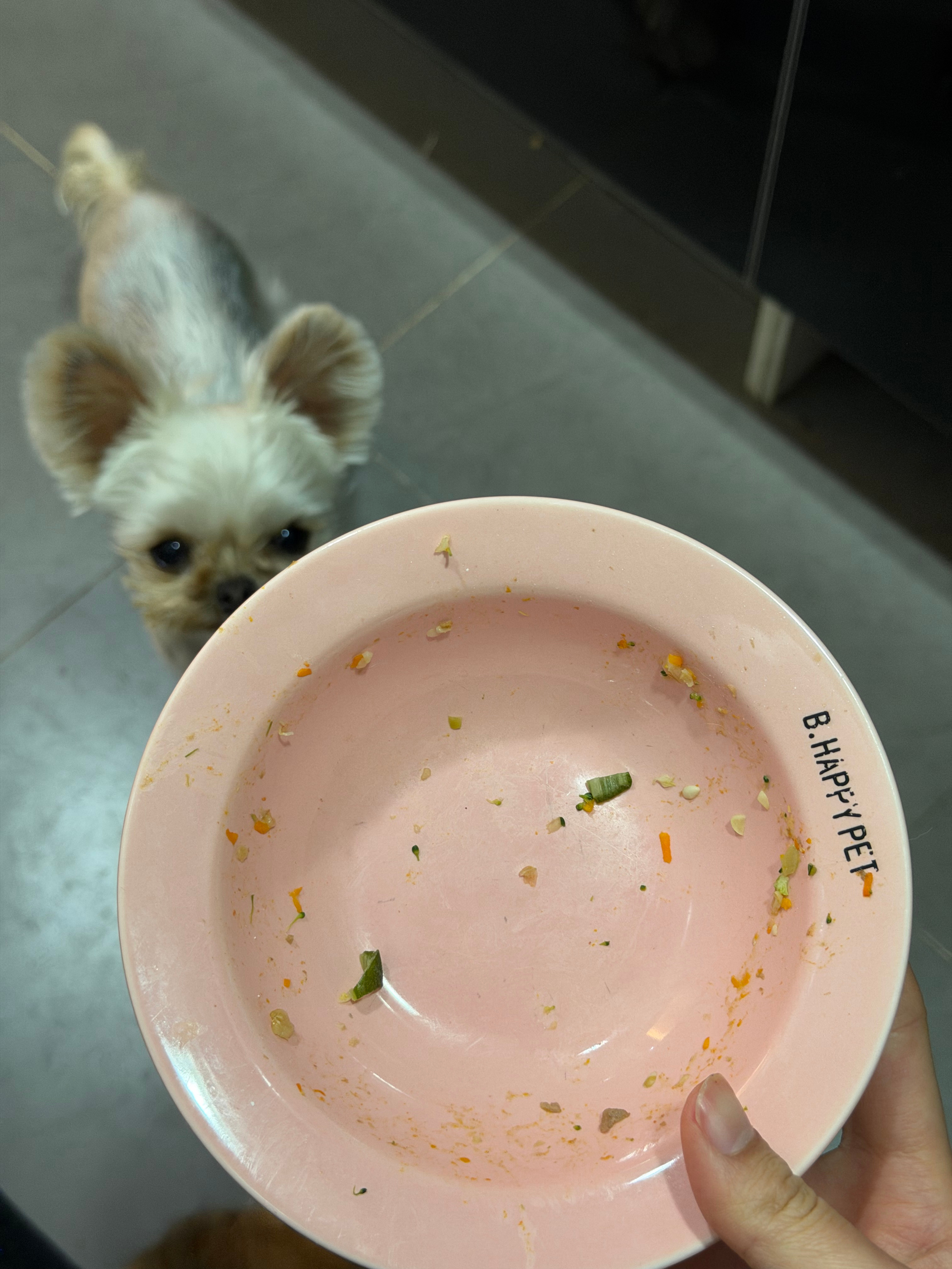 终于懂小时候大人看到小孩子爱吃饭时那种自豪又欣慰的感觉了 每次给扎扎做饭她都是光