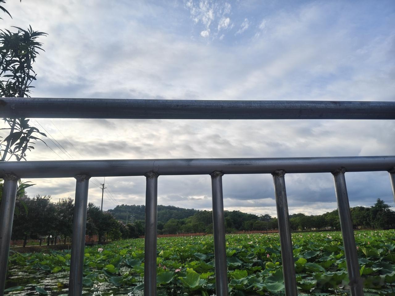 散散心