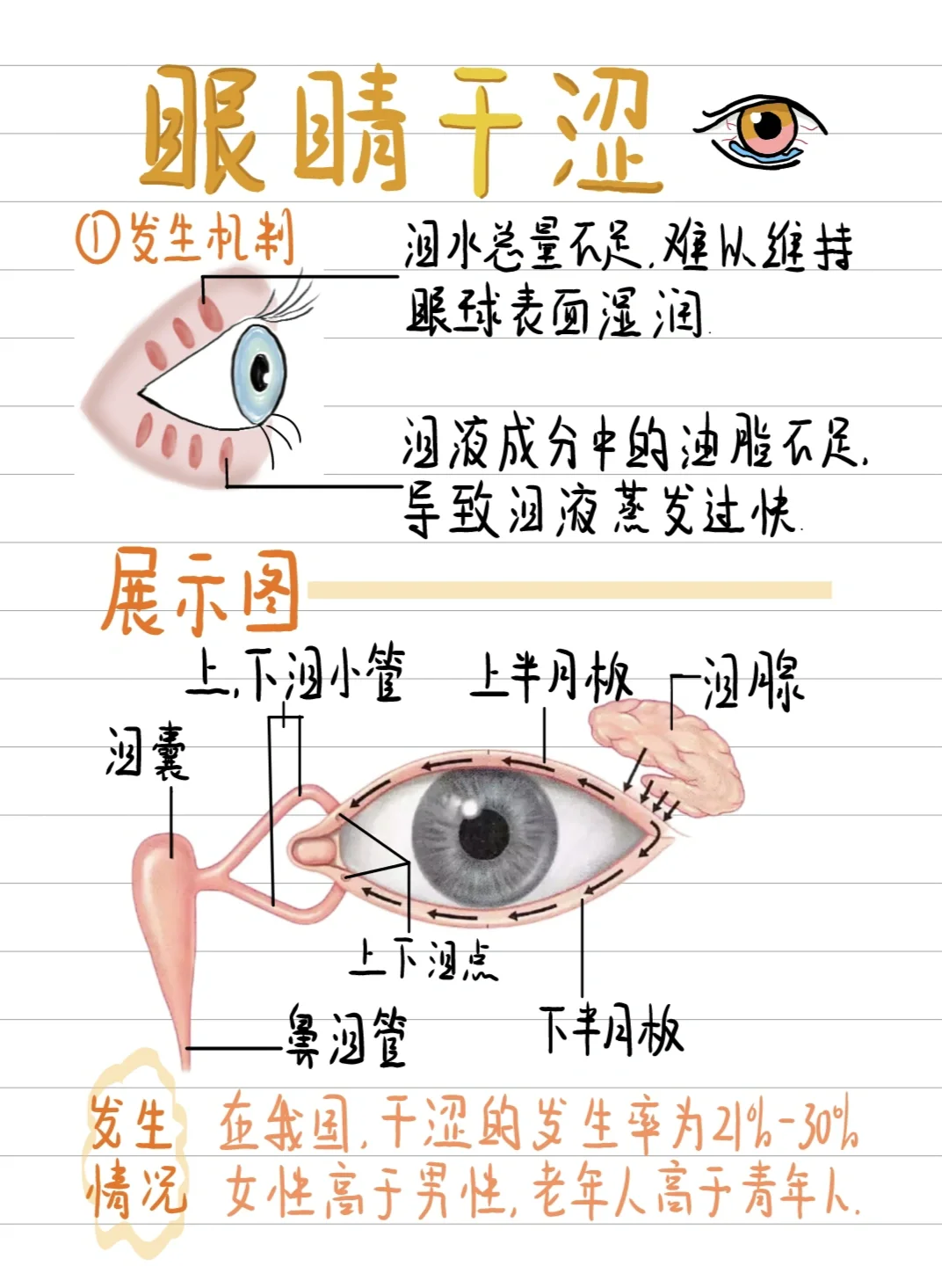 医学生笔记✍-眼睛干涩自救指南❗✨