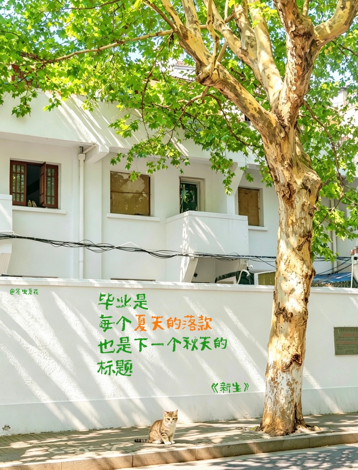 毕业是每个夏天的落款，也是下一个秋天的标题～给同学的毕业祝福