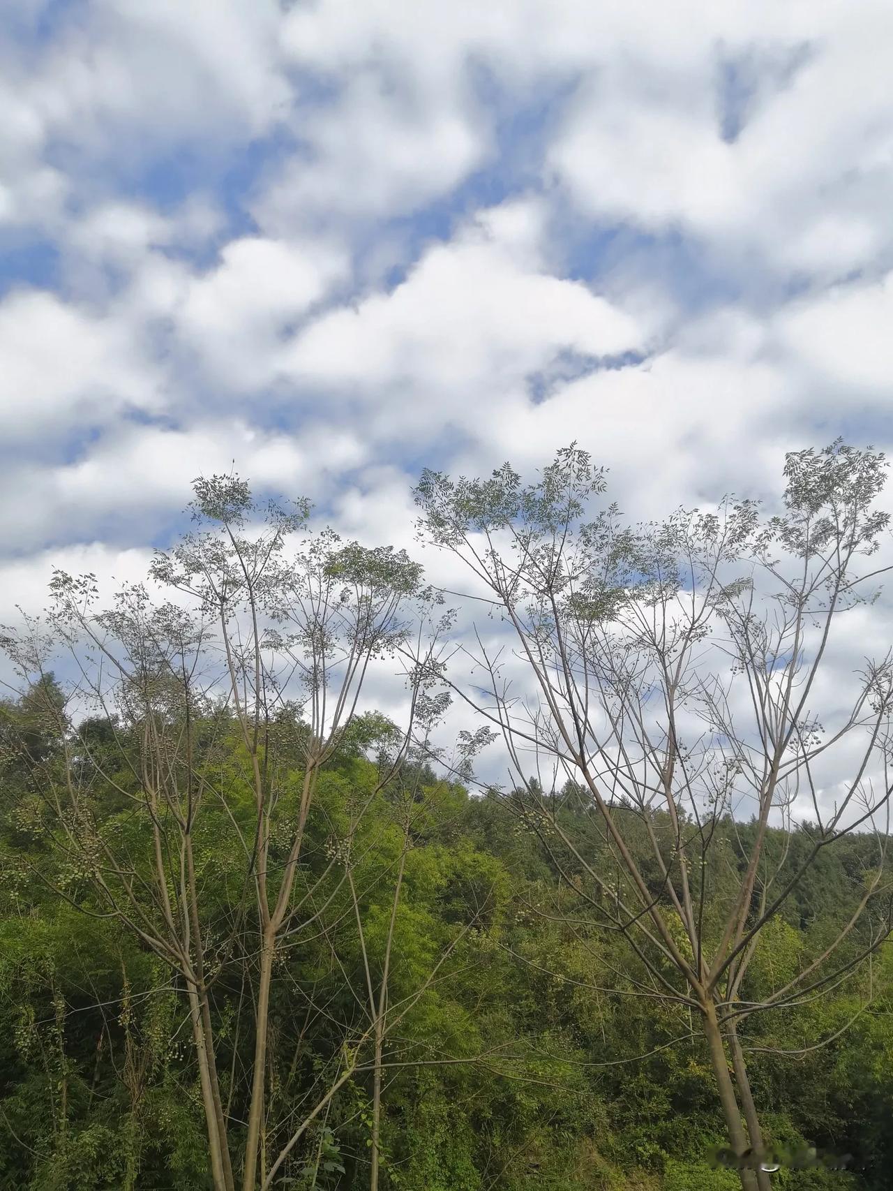 我新发布的内容被官方推荐啦！👍你也快来发布一条吧！带