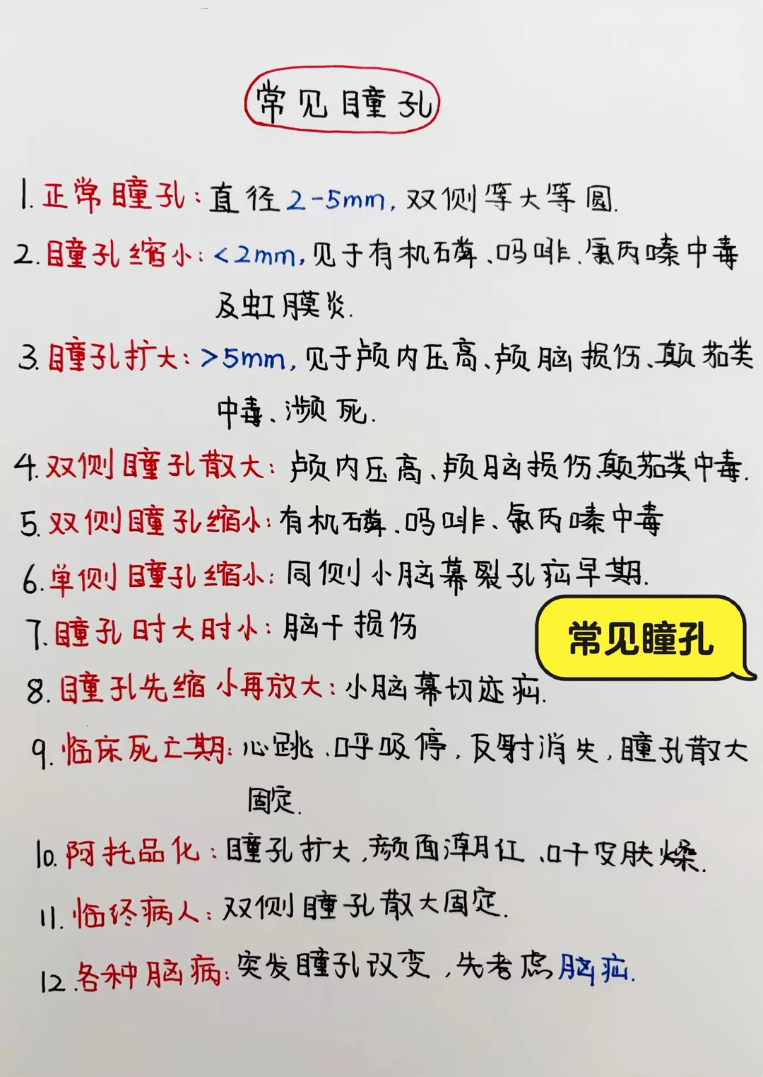 今日学习打卡——常见瞳孔