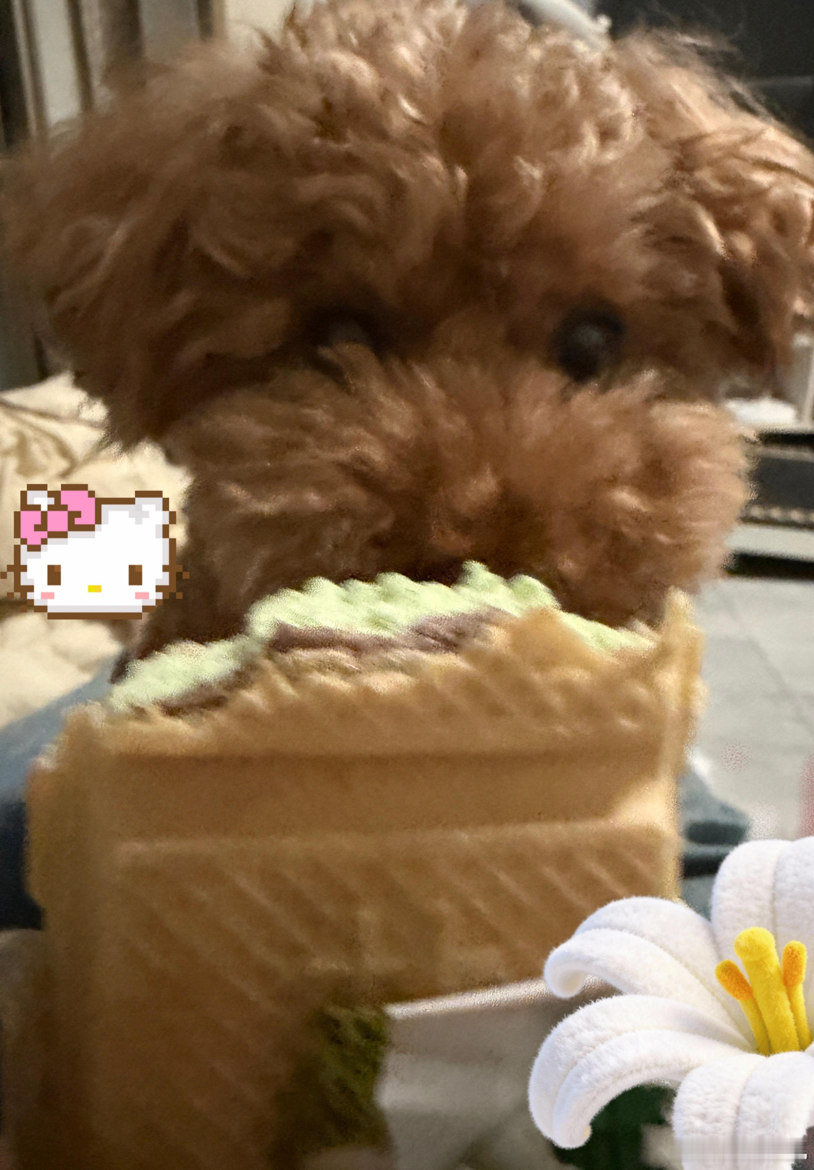 八百年前买的方糕到现在还没吃完