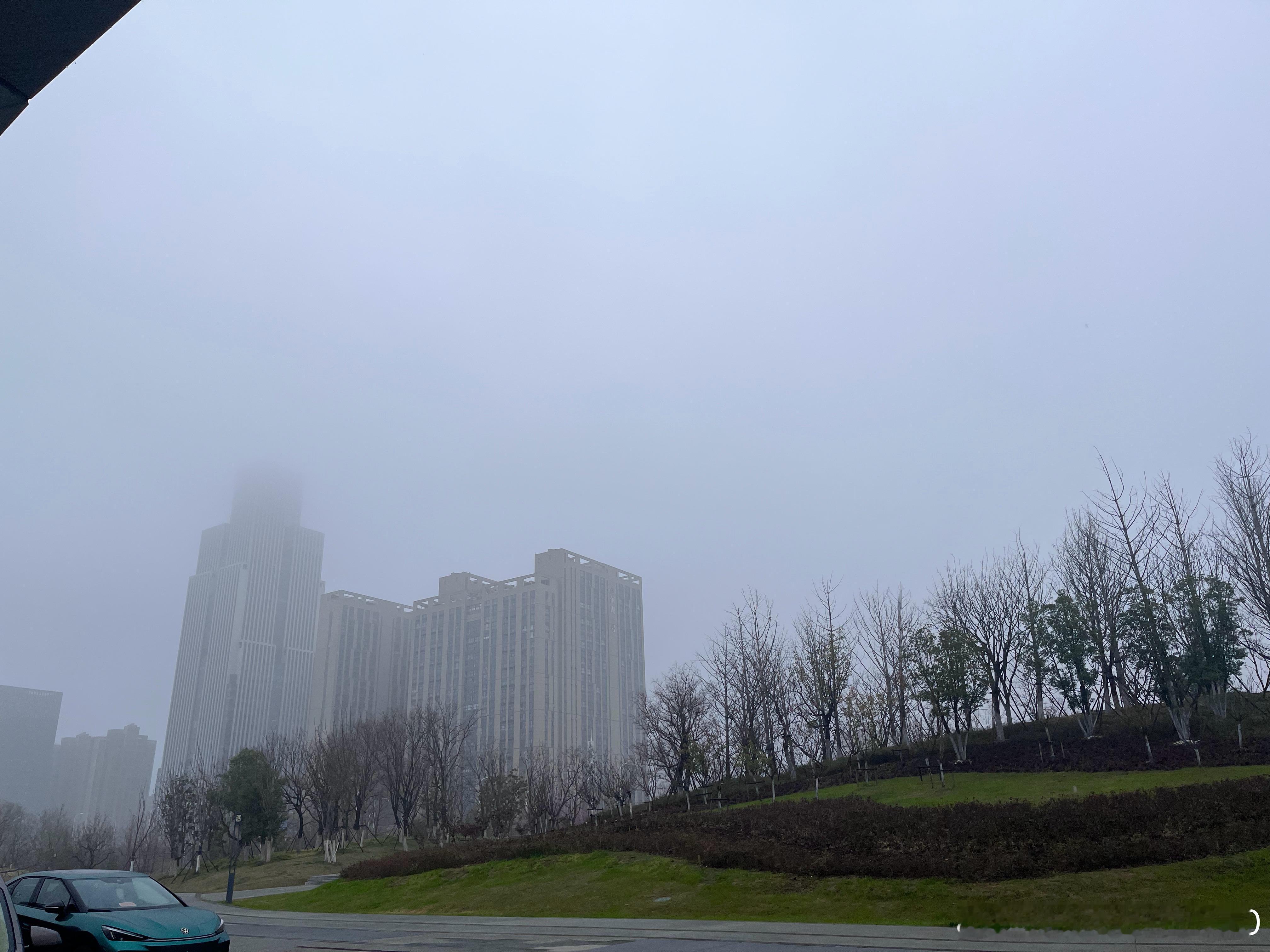 遇到合肥，遇上潮湿的雨天，鼻子也不干了，舒服极了 合肥·骆岗公园