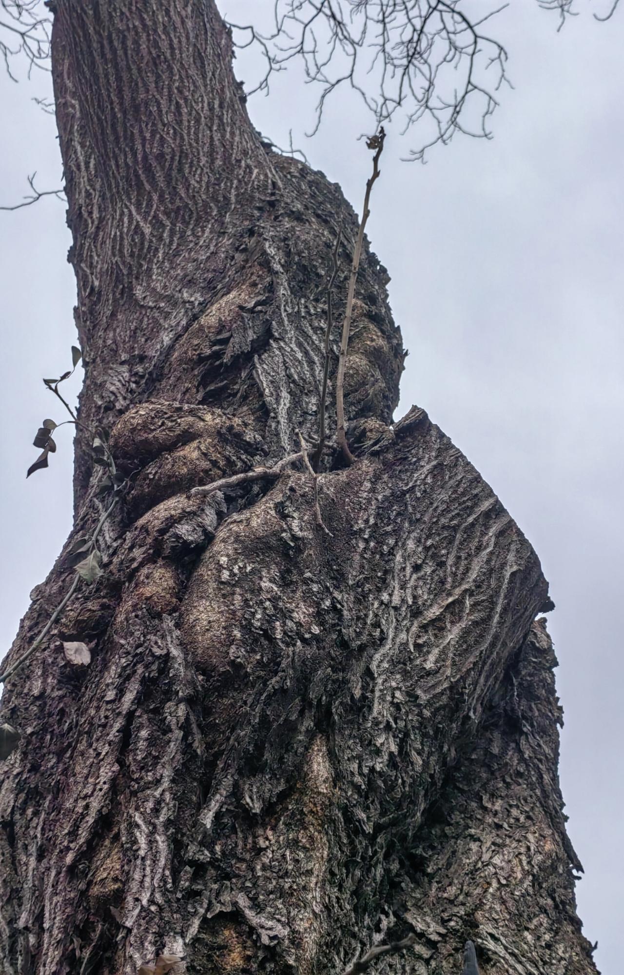 恶劣天气中高市早苗大获全胜，东亚局势紧张了。
任何一次大规模的激烈冲突，都是开始