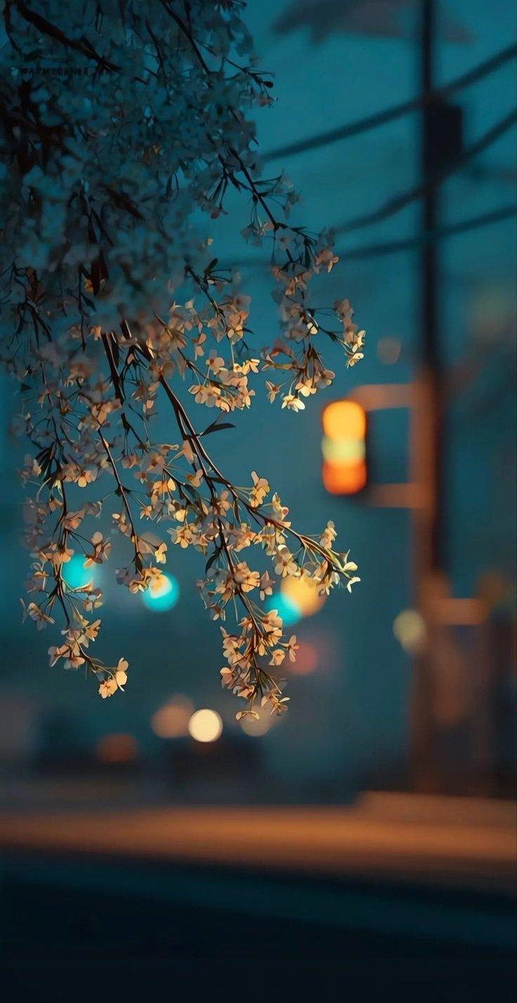 历史的经验表明，每当人们不甘心屈从于痛苦和绝望时，他们就向往自由；另一方面，已经