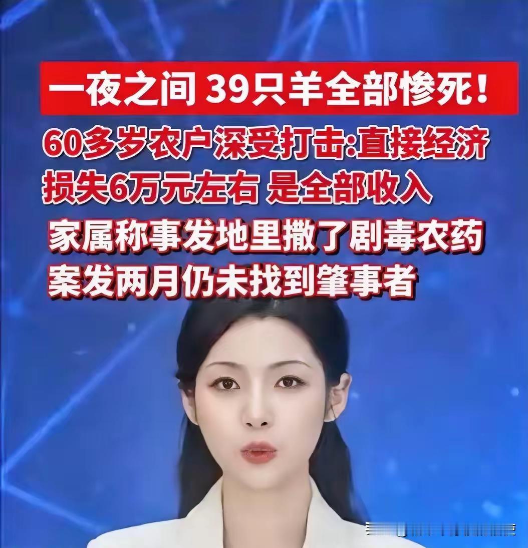 山西霍州，60多岁大爷儿在玉米地放养的39只黑山羊被毒死，直接损失约6万多元，遗