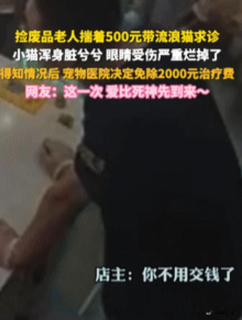 泪目！山东烟台，一拾荒老人抱着捡到的受伤小猫去医院看病，把身上仅有的500元都拿