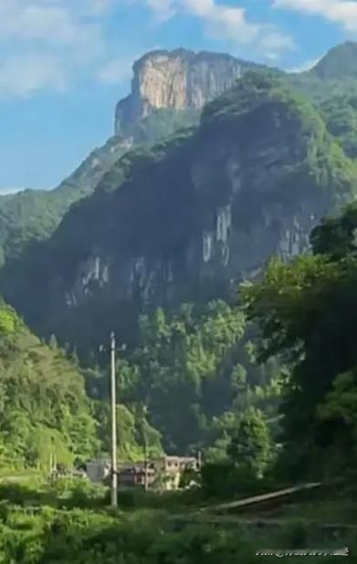 其次，能力；
再次，学历。