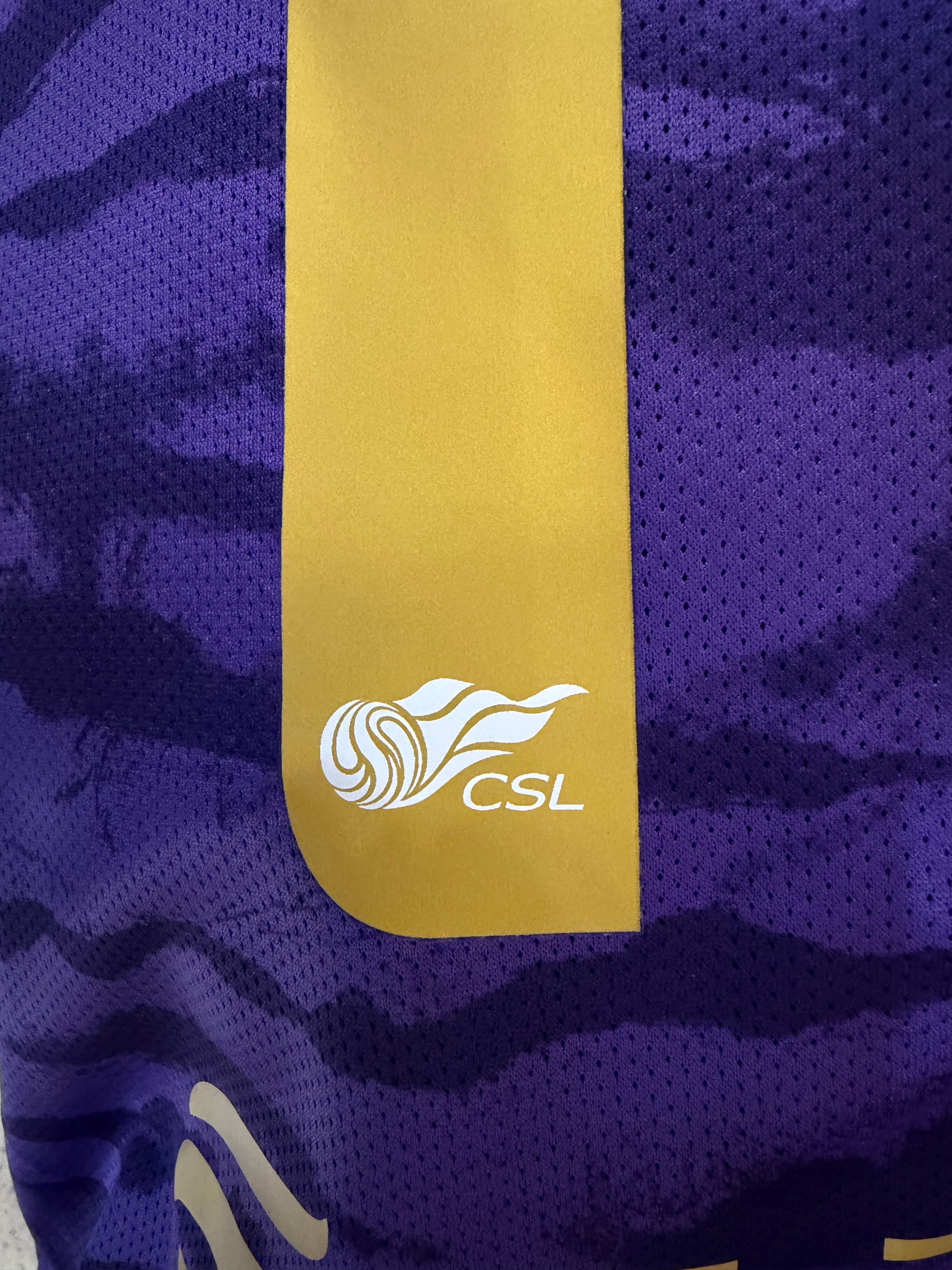 中超新赛季印字实物图，天津津门虎将使用金色印字！球衣资讯贤聊球衣中超联赛天津津门