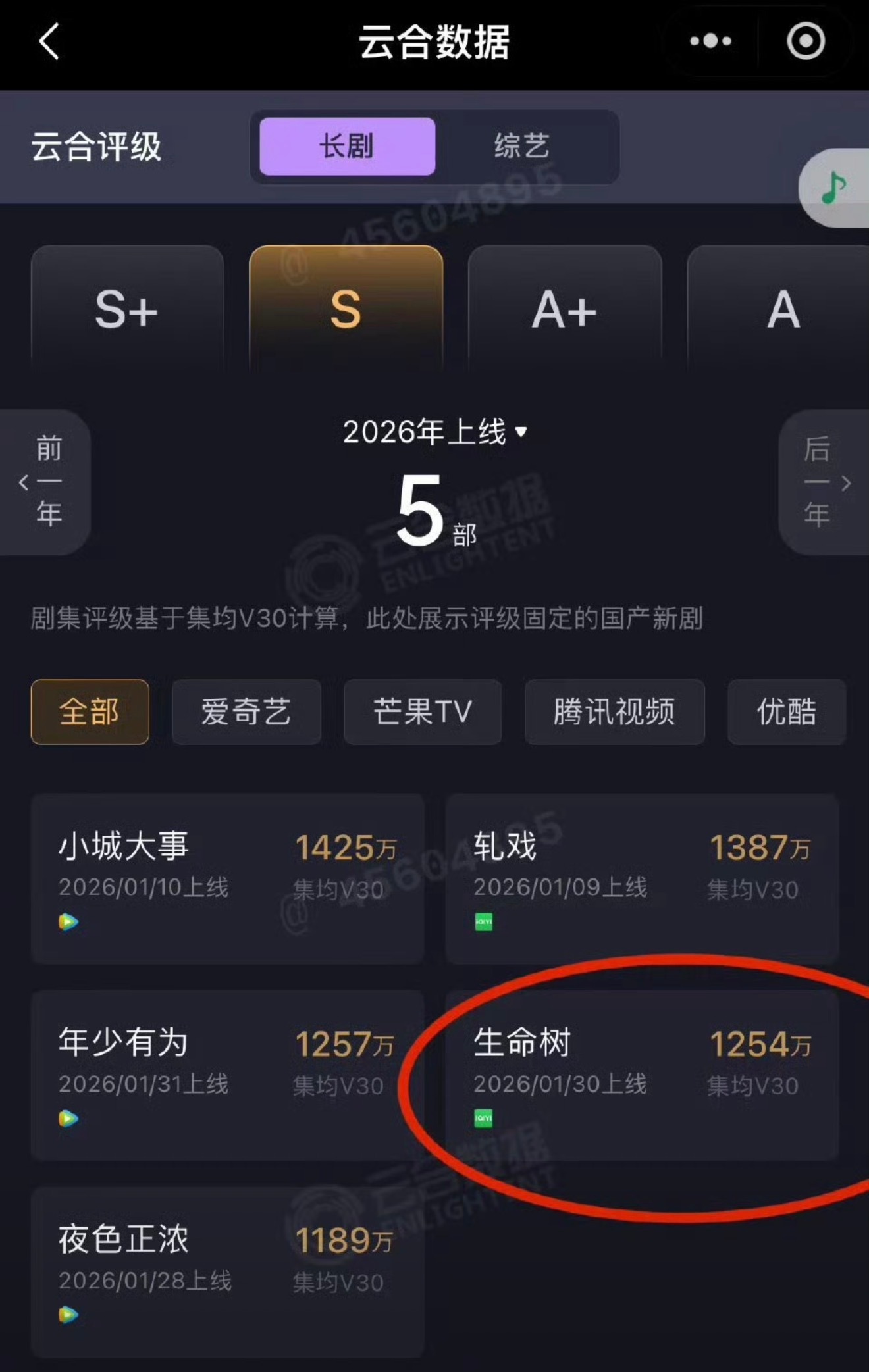 生命树云合集均V30固定了，集均1254万。 