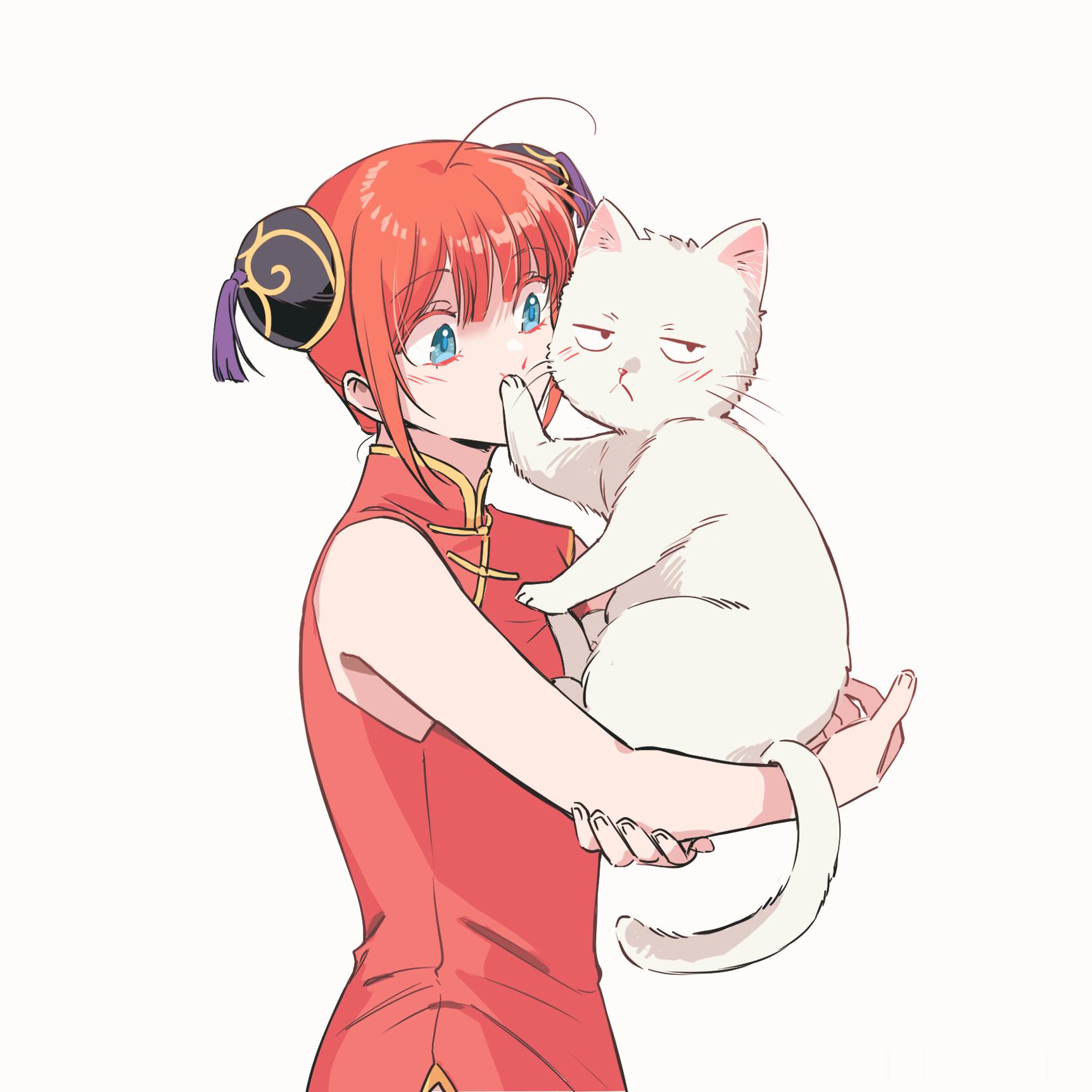 肥猫真是大真是大肥猫 