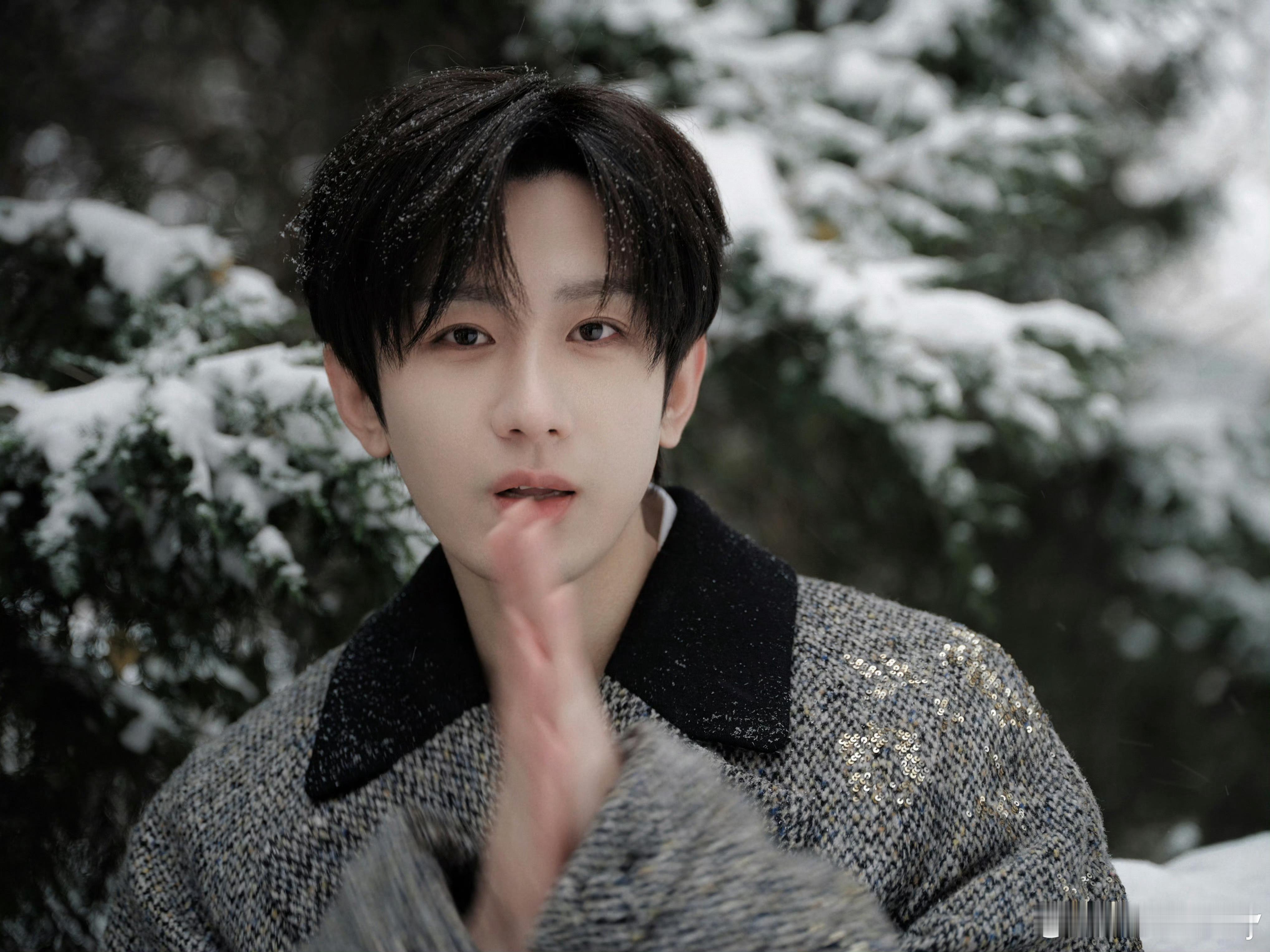 2025年12月31日17时37分，浙江下雪啦！ 