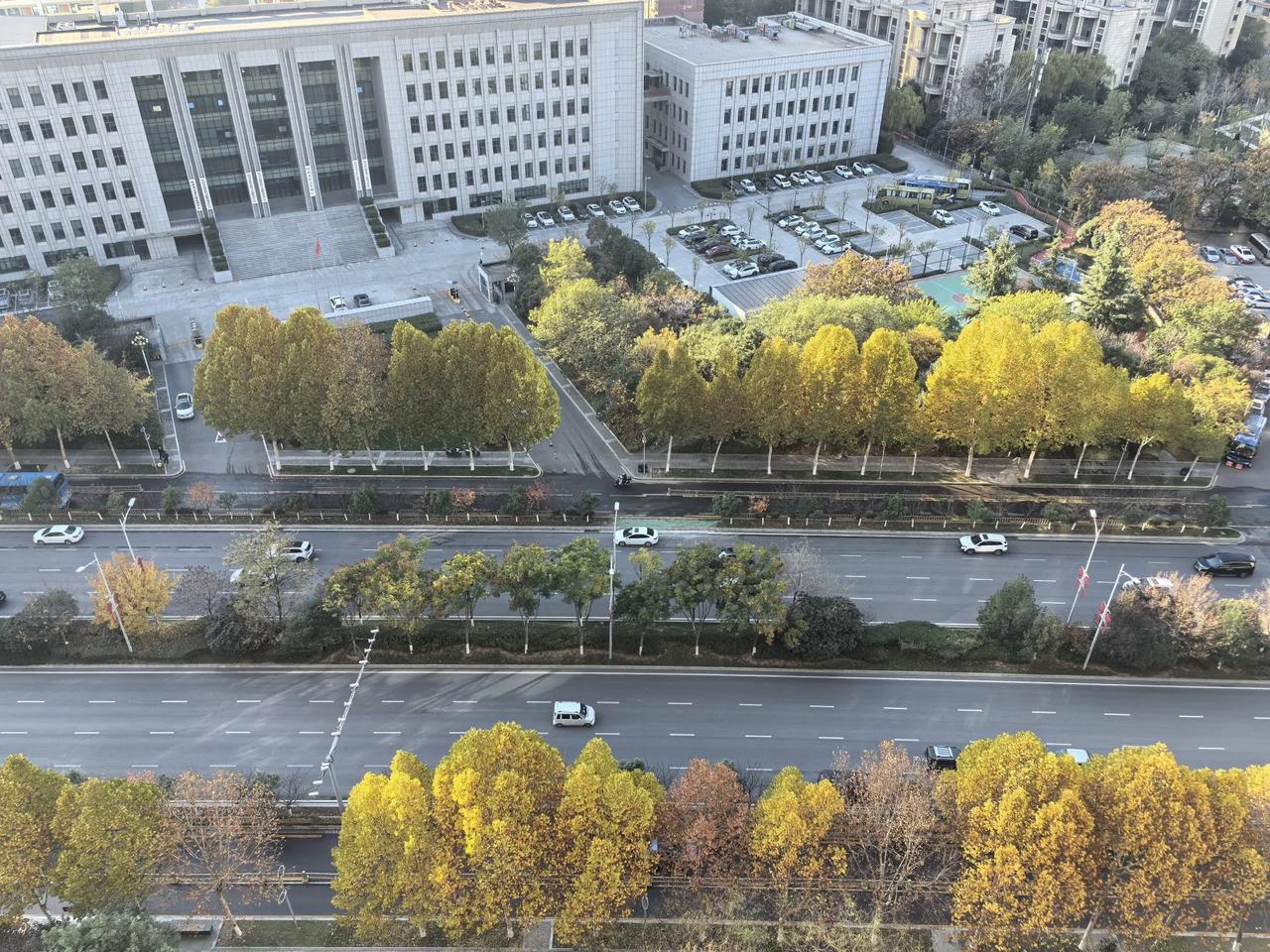 分享手机相册里最美的风景西安北郊随手拍的秋天风景